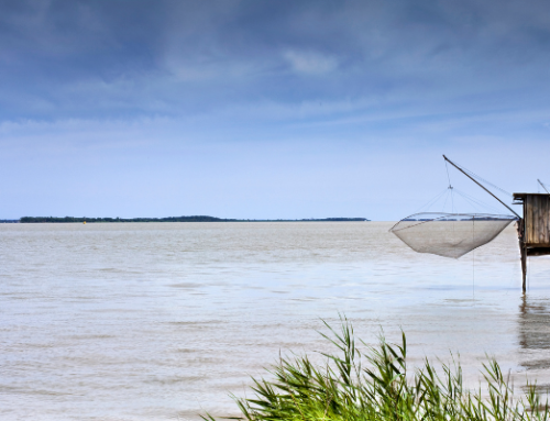 Viens t’asseoir dans la cabane du pêcheur  (Mais pense aussi à tes impôts)