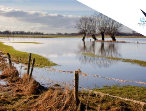 Catastrophes naturelles et contrat d’assurance
