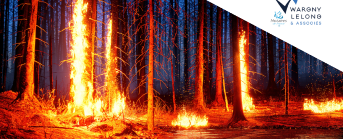 Vente d'un bien sur une zone exposée au risque d'incendie