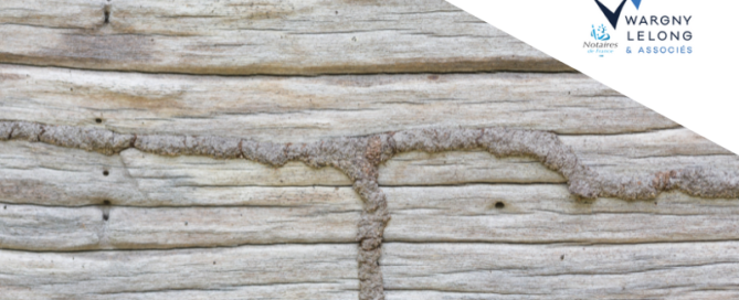 Actualisation des zones exposées au risque de mérule et de termites