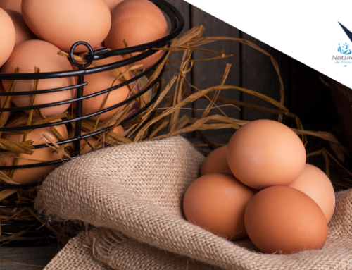 Stratégie patrimoniale : les dates clés à ne pas manquer