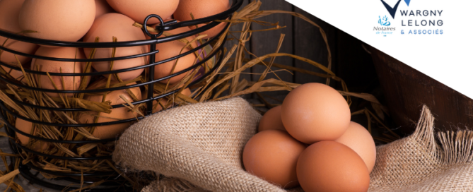 Stratégie patrimoniale : les dates clés à ne pas manquer