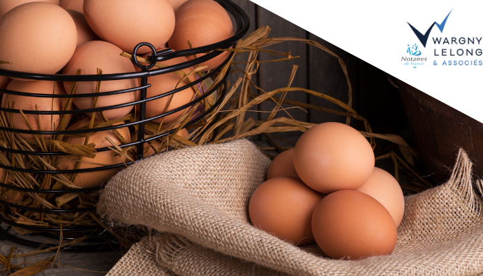 Stratégie patrimoniale : les dates clés à ne pas manquer